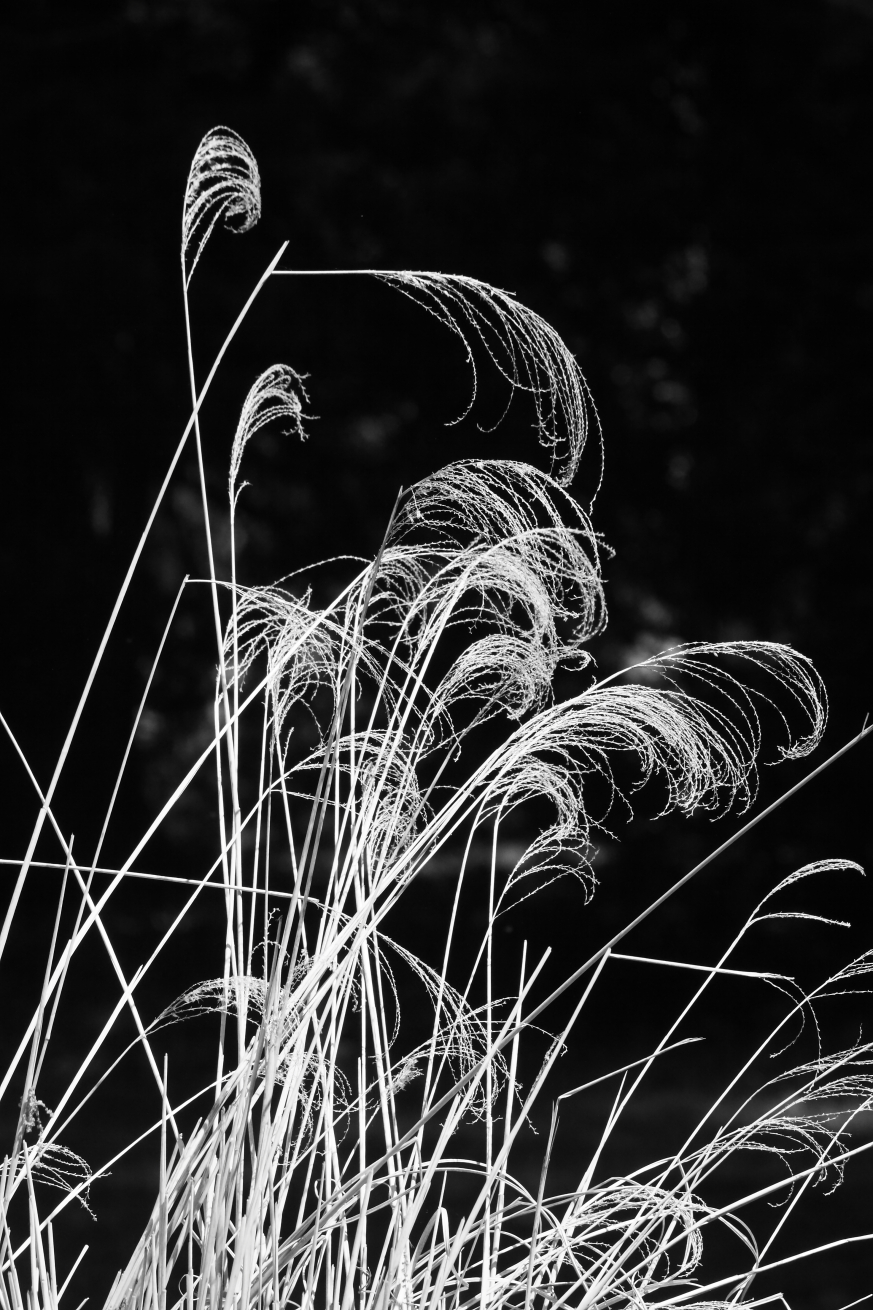 2015 05 17 HTP 000055136e